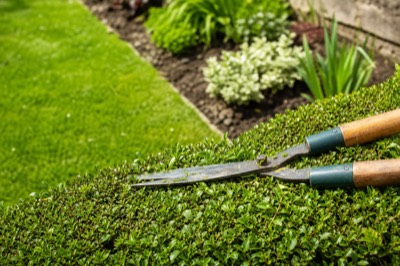 Landscaping — Tom Reeves